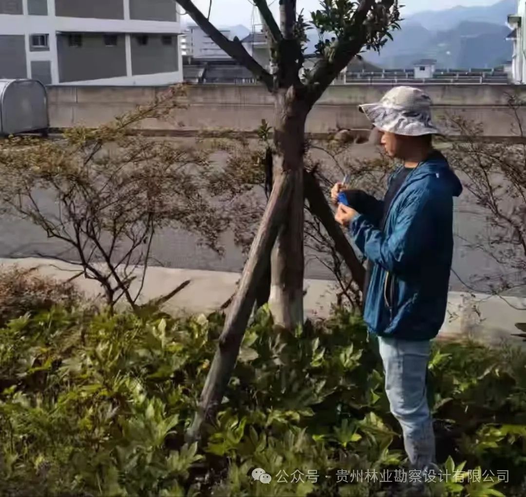 640?wx_fmt=jpeg&from=appmsg 图片