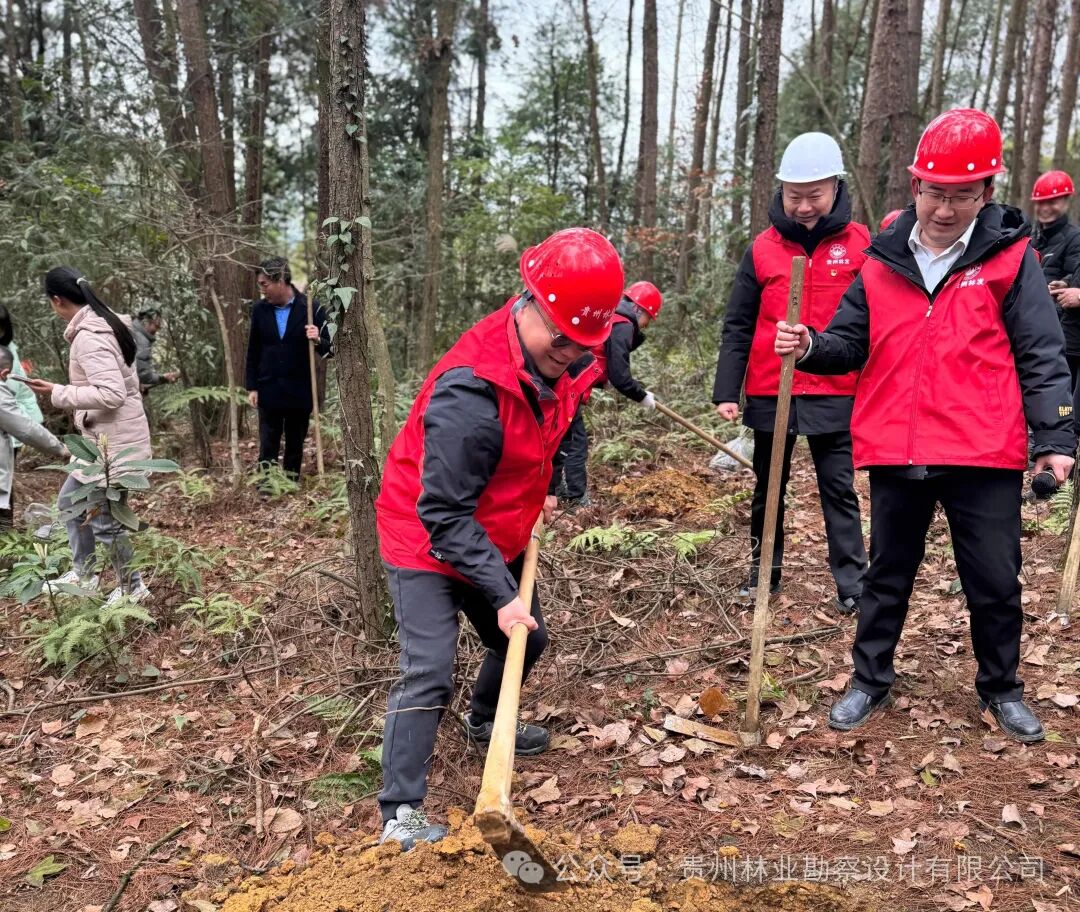 640?wx_fmt=jpeg&from=appmsg&watermark=1#imgIndex=1 图片